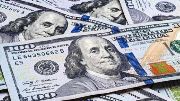 تفاصيل سعر الدولار في السوق الرسمية.. اليوم