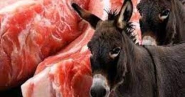 أزمة لحوم تضرب الأرجنتين.. وجدل تشريعي وتحقيقات بسبب “الحمير”