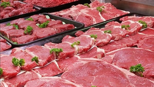 أسعار اللحوم اليوم الجمعة 19 يونيو 2026 في الأسواق