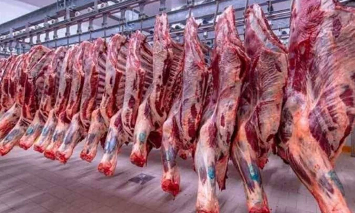 أسعار اللحوم اليوم فى سوق مطروح الجمعة
