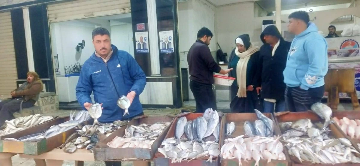 أسماك البلطي اليوم في أسواق مطروح بـ 100 جنيه الكيلو