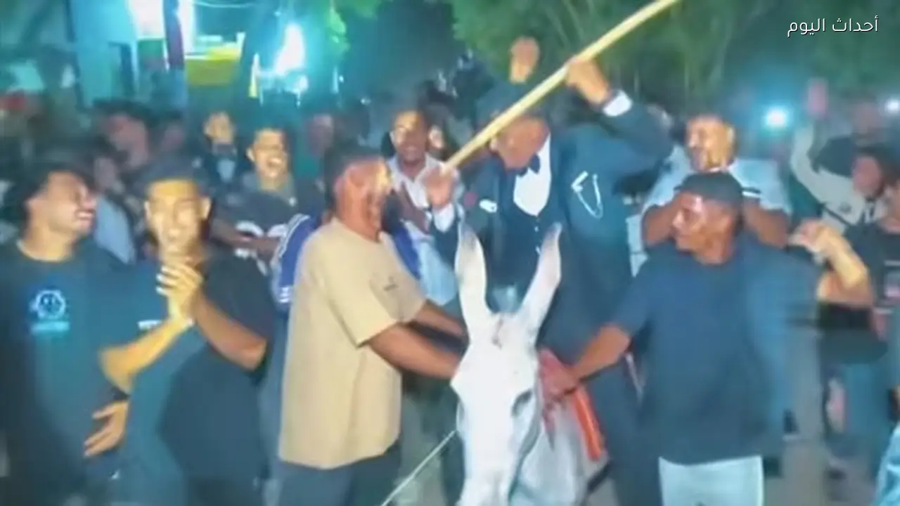 أول تعليق لعريس قنا بعد دخوله حفل زفافه على حمار: صحابي فاجأوني.. وكان موقف هزار وفرحة