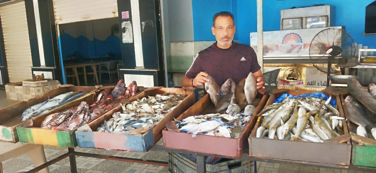 الدنيس بـ250 جنيه والدراك بـ200.. أسعار الأسماك في مطروح