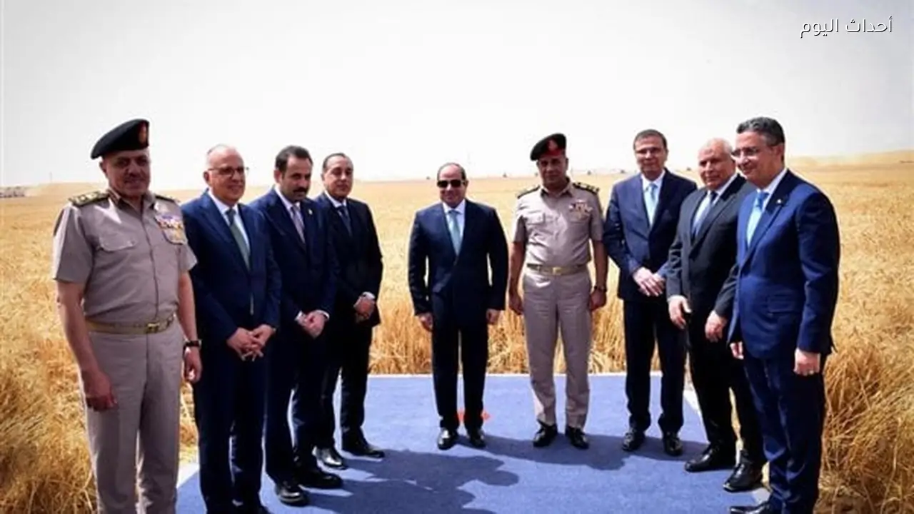 الزراعة المصرية في 12 عامًا.. طفرة تاريخية في الإنتاج والصادرات ومشروعات بملايين الأفدنة تعيد رسم الخريطة الزراعية