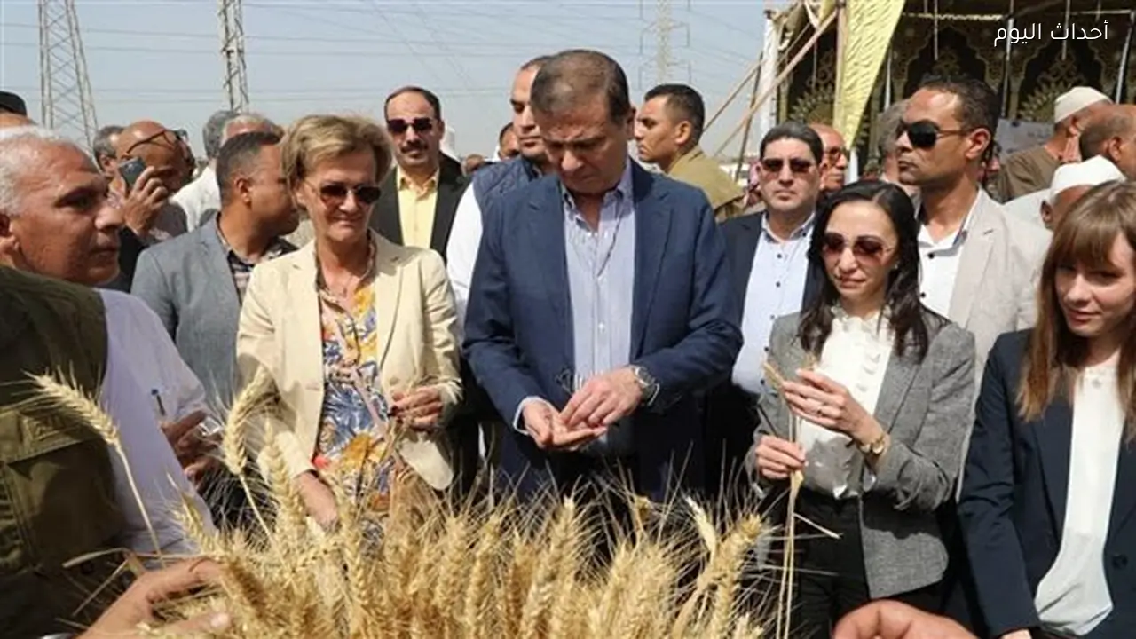 “الزراعة” في ذكرى 30 يونيو.. طفرة تاريخية ونقلة نوعية في قطاع الزراعة والأمن الغذائي