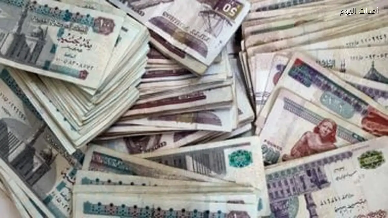 الستات تكسب فى سوق المليارات.. كيف استحوذت النساء على التمويل متناهي الصغر؟