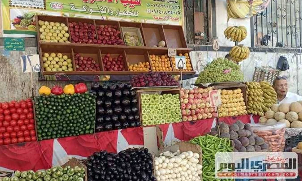 الطماطم بـ 20 جنيهاً.. أسعار الخضار والفاكهة بأسواق الشرقية اليوم الجمعة 19 يونيو 2026