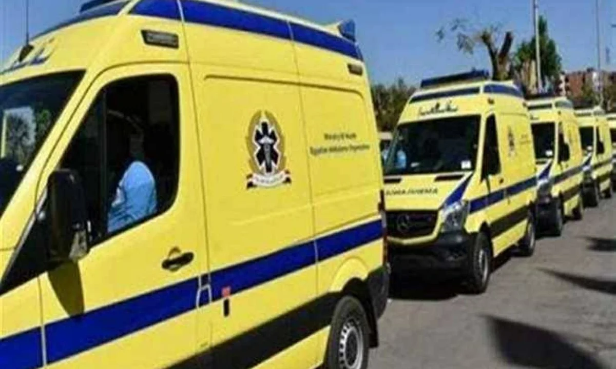 العثور على جثة سيدة في حالة تيبس داخل منزلها بالدقهلية