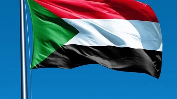 القاهرة الإخبارية: مصر تكثف تحركاتها الدبلوماسية لدعم استقرار السودان وتعزيز التنسيق الإقليمي والدولي