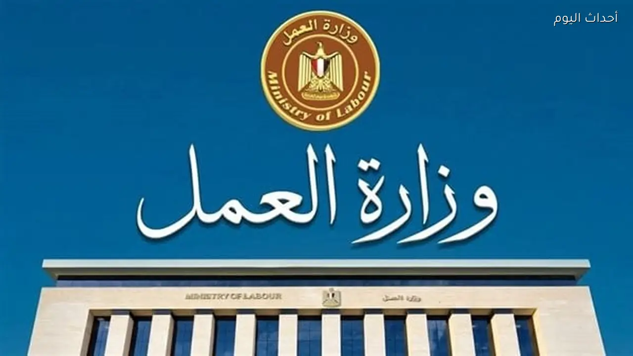 براتب يبدأ من 409 دولارات.. العمل تعلن عن 350 فرصة عمل موسمية بالخارج للعمالة الزراعية
