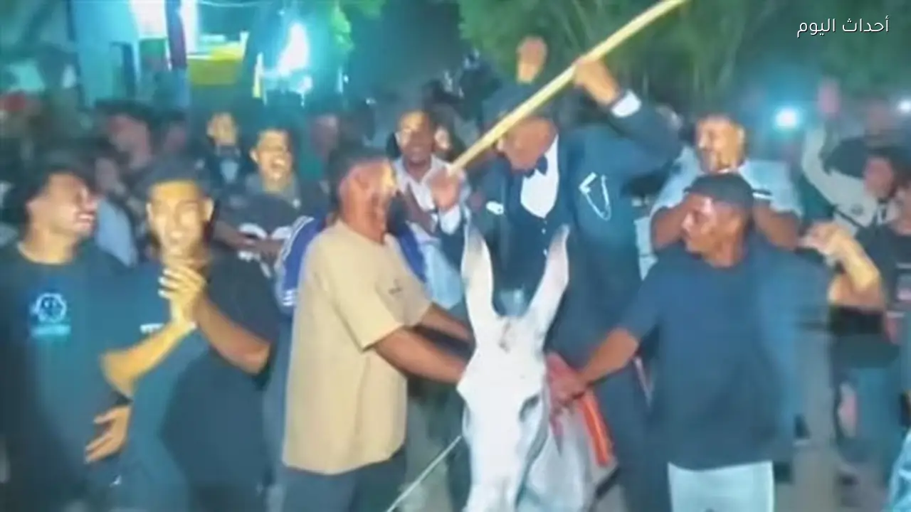 بعد عريس النقالة.. فيديو متداول لعريس يحتفل بزفافه على ظهر حمار في قنا