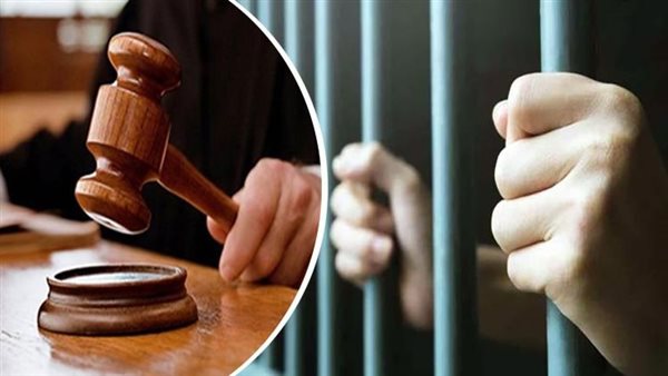 تأجيل محاكمة 71 متهما في قضية خلية “اللجان الإدارية”لـ 8 أغسطس