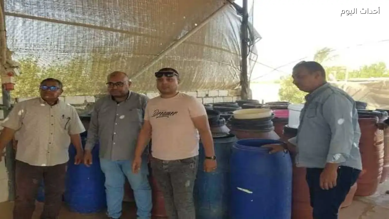 تحرير 623 محضرًا تموينيًا خلال حملات مكثفة على المخابز والأسواق بأسيوط
