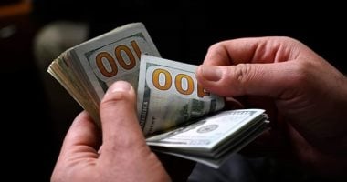 تعرف على سعر الدولار مقابل الجنيه فى البنك المركزى المصرى