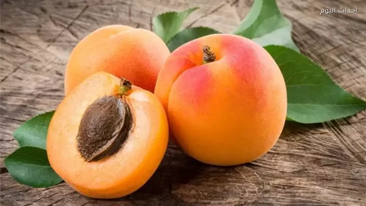 خبراء يحذرون.. متى يصبح المشمش خطرا على صحتك؟
