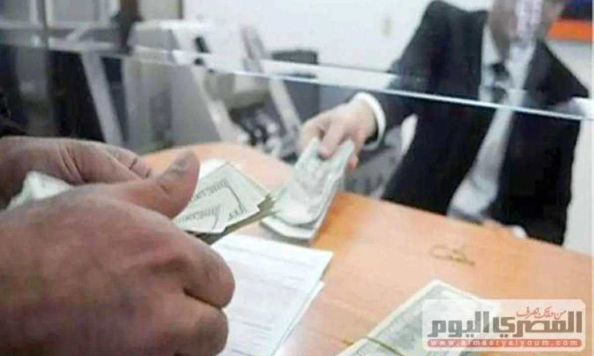 خبير اقتصادى: «الدولار مكنش هيفضل بـ 6 جنيه حتى لو لم تقم ثورة 25 يناير»