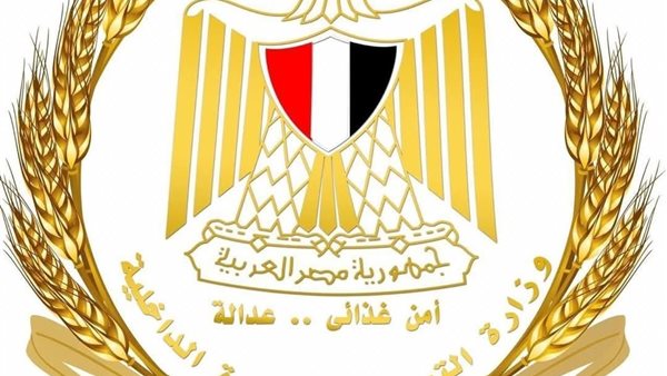 خلال يوليو.. التموين تبدأ تعميم خدمات السجل التجاري عبر مكاتب البريد