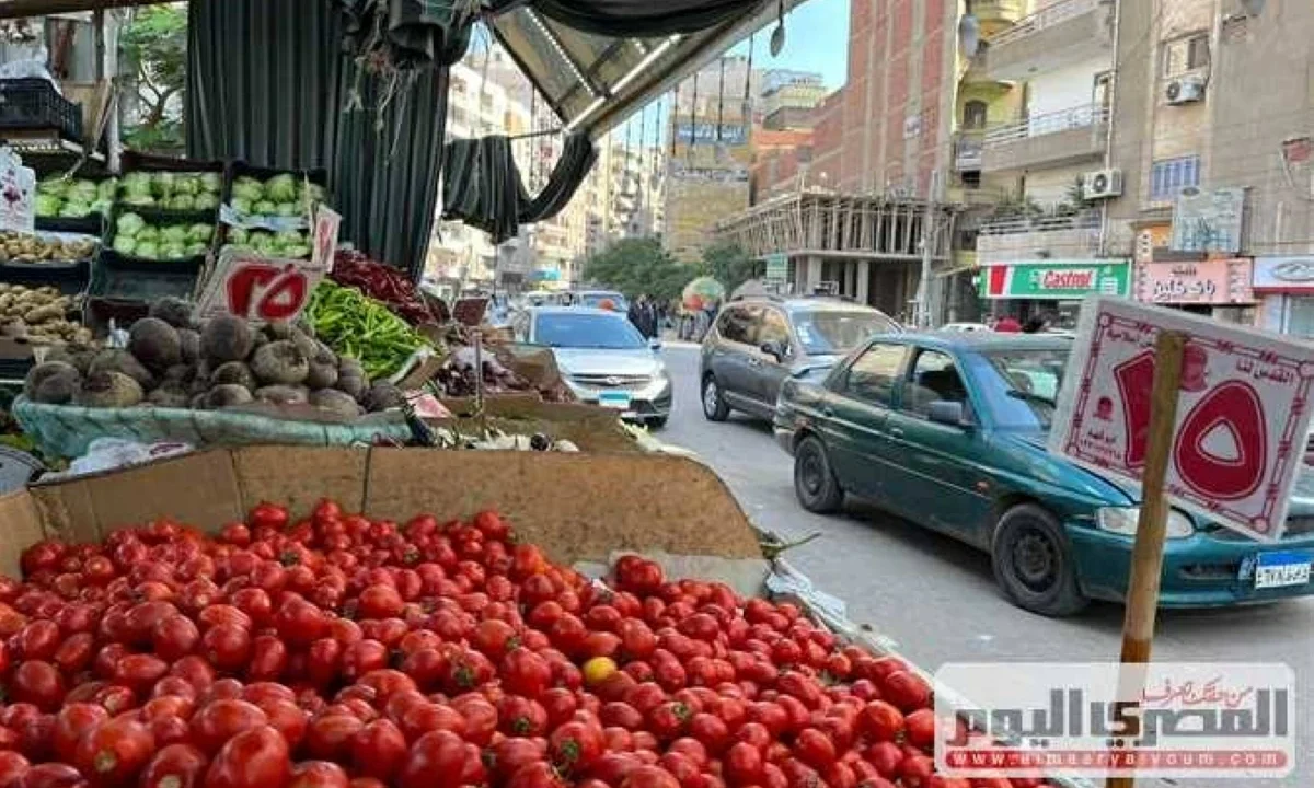 سعر الطماطم والبصل والفاكهة بأسواق الشرقية اليوم الثلاثاء 16 يونيو 2026