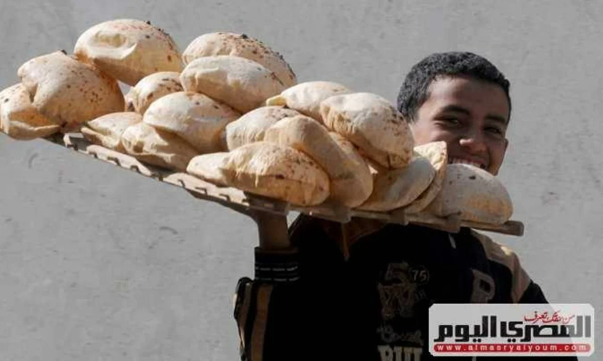 شعبة المخابز تنفى تطبيق للدعم النقدى للخبز الشهر المقبل