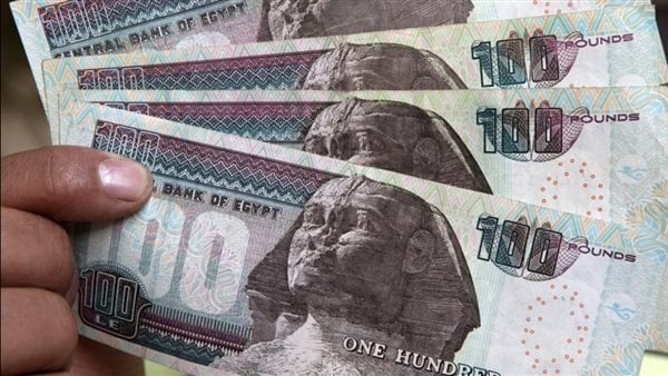 شعبة المواد الغذائية: الدعم النقدي ينهي هدر المليارات ويحقق العدالة الحقيقية للمواطن