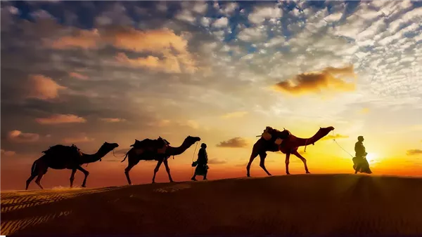 علاقة الهجرة النبوية بشعور الإنسان بالأمن والسلام.. علي جمعة يوضح