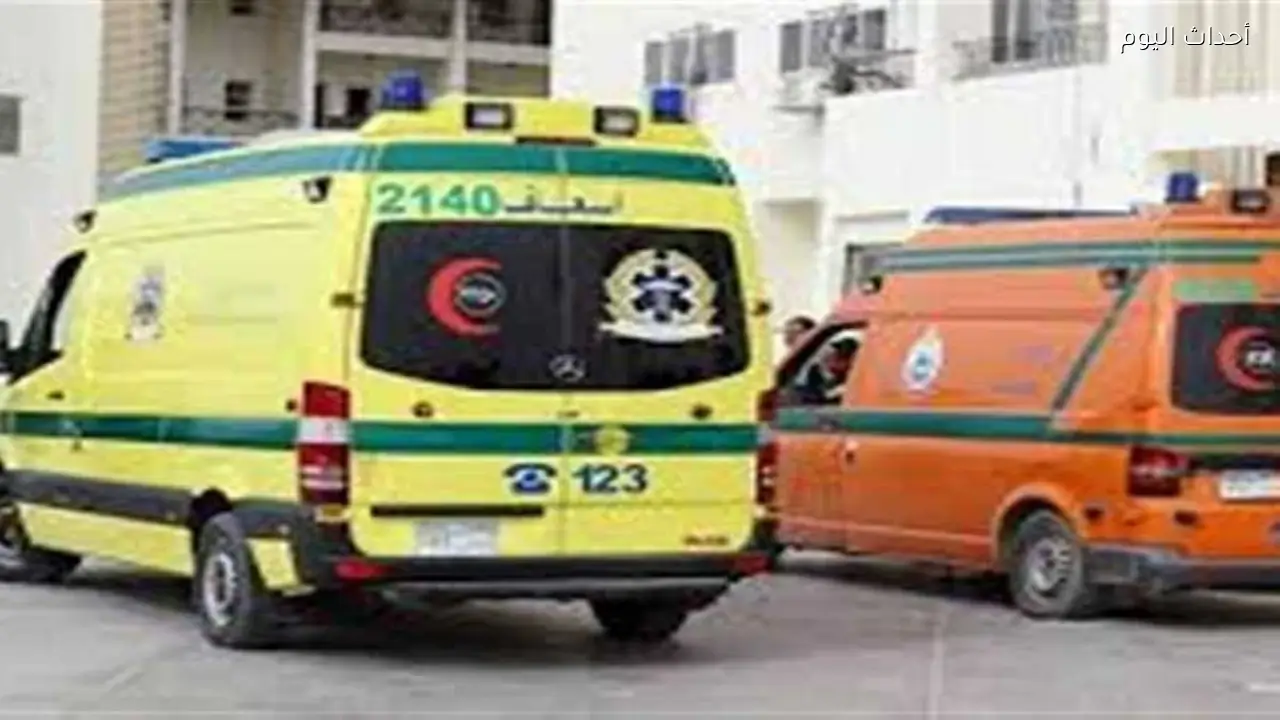 «كانت عايزة تروح لأمها».. تفاصيل اعترافات الأب المتهم بإنهاء حياة طفلته فى المنوفية