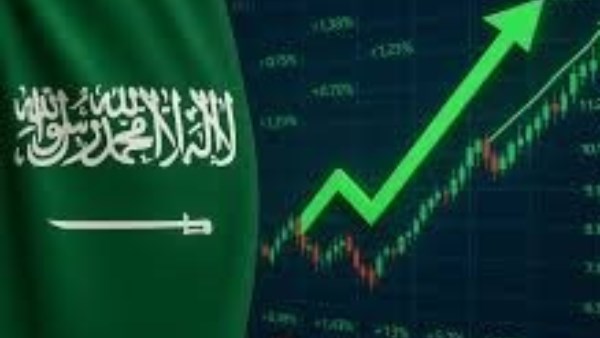 مؤشر سوق الأسهم السعودية يغلق منخفضًا بمقدار 30.65 نقطة