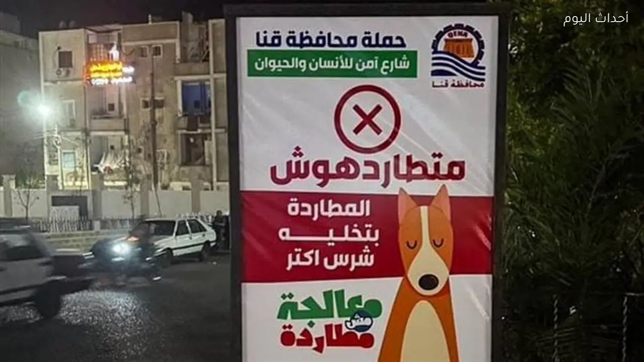 متأذيهمش.. متطاردهمش.. قنا تطلق حملة توعوية للتعامل الآمن مع الكلاب الضالة