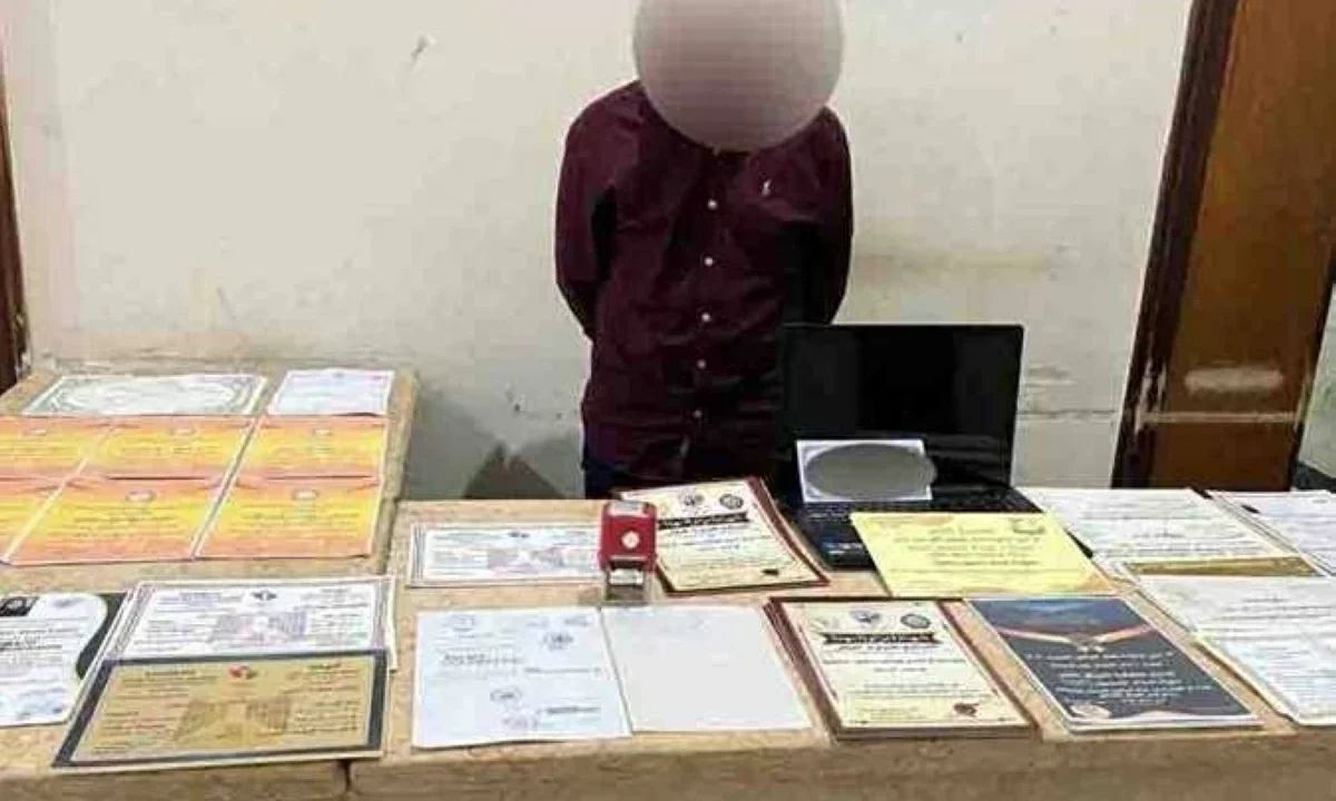 «مهندس على الورق فقط».. الحبس سنة لمتهم بتزوير شهادات جامعية وتقليد أختام جهات رسمية بمدينة نصر