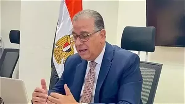 نبيل حبشي: تحويلات المصريين بالخارج ركيزة أساسية لدعم الاقتصاد الوطني