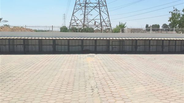 وزارة الإسكان تشن حملات مكثفة لمواجهة الكلاب الضالة بالمدن الجديدة