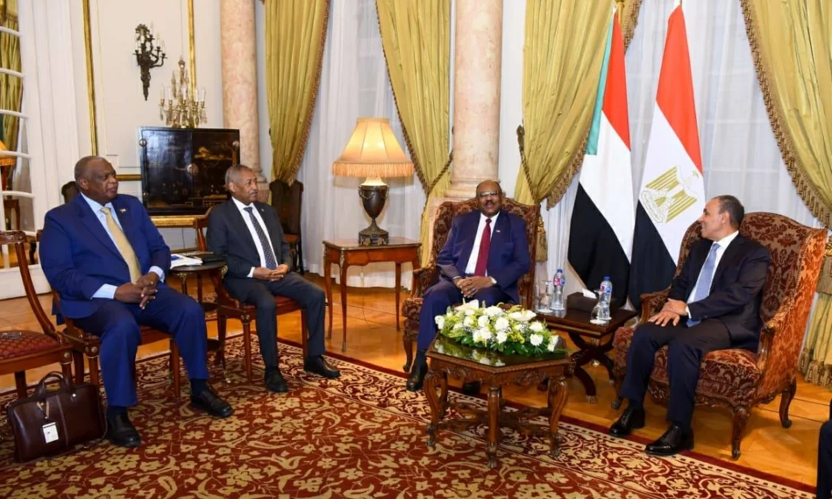 وزير الخارجية يلتقى نظيره السودانى لبحث تطورات الأوضاع فى السودان