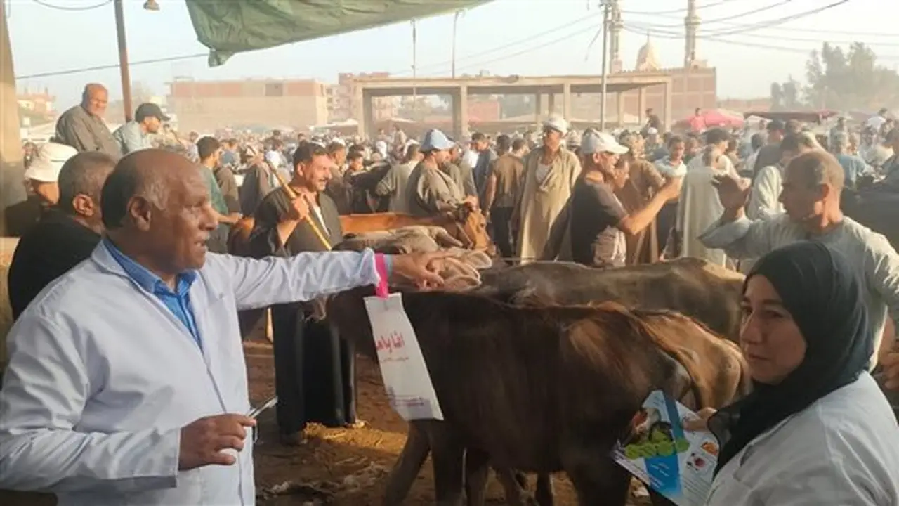 175 لجنة بيطرية تجوب قرى وأسواق الغربية لحماية الثروة الحيوانية