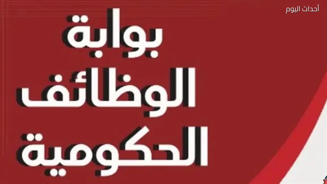 وظائف حكومية جديدة في 4 تخصصات: الشروط وطريقة التقديم المتاحة