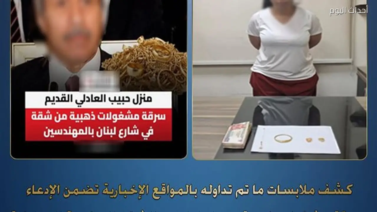 تفاصيل سرقة شقة وزير الداخلية السابق: الأمن يكشف الحقائق ويضبط المتهمة