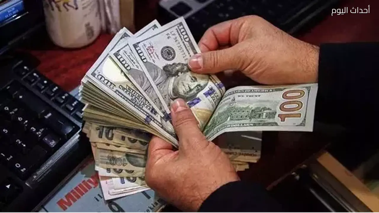 الإحصاء: تحويلات المصريين بالخارج تتجاوز 36 مليار دولار بزيادة 113%