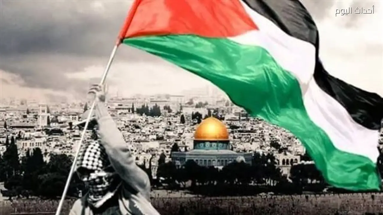 دكتور صلاح عبد العاطي: مصر تلعب دورًا حاسمًا في حماية القضية الفلسطينية