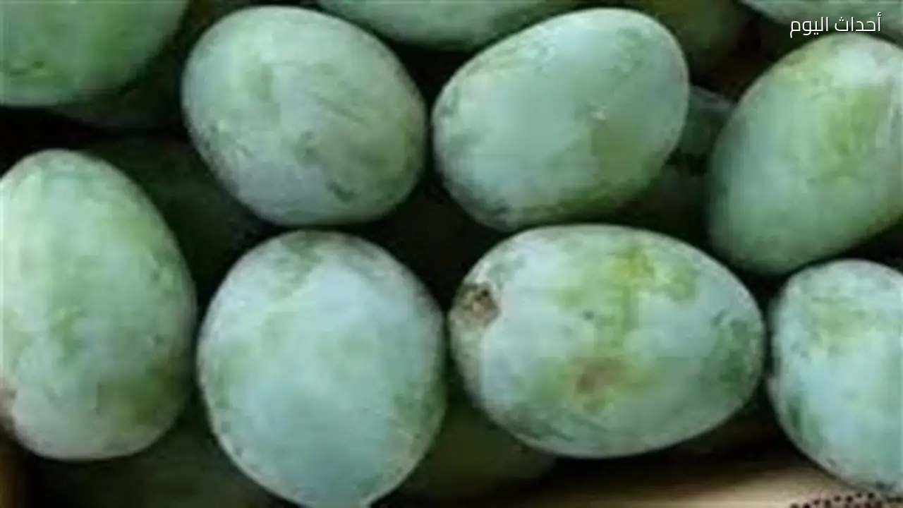 تفسير رؤية المانجو الخضراء في المنام وتأثيرها على الوضع المالي