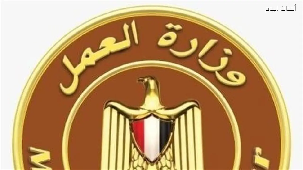 وزارة العمل تحذر من صفحات وهمية تروج لمعلومات مغلوطة حول منحة العمالة غير المنتظمة