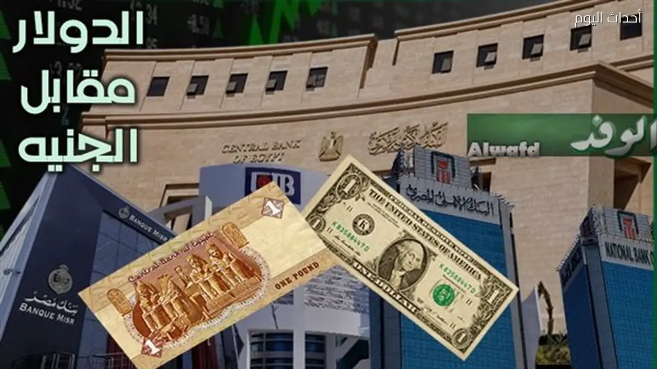 استقرار سعر الدولار مقابل الجنيه المصري اليوم الخميس