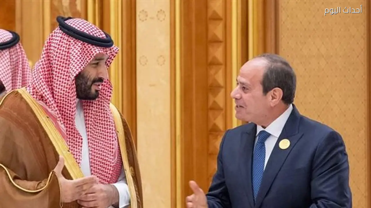 تحولات العلاقات المصرية العربية إلى شراكات اقتصادية واستثمارية بعد ثورة 30 يونيو بقيادة السيسي