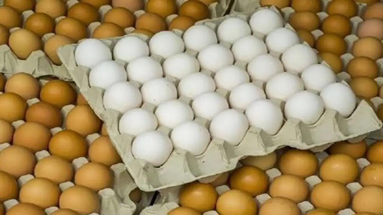 أسعار كرتونة البيض اليوم الأحد في بورصة الدواجن