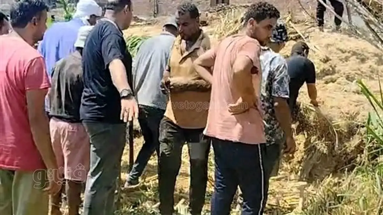 إصابة شاب بلدغة عقرب في الشرقية بعد تسجيل 10 إصابات و3 وفيات خلال أسبوعين