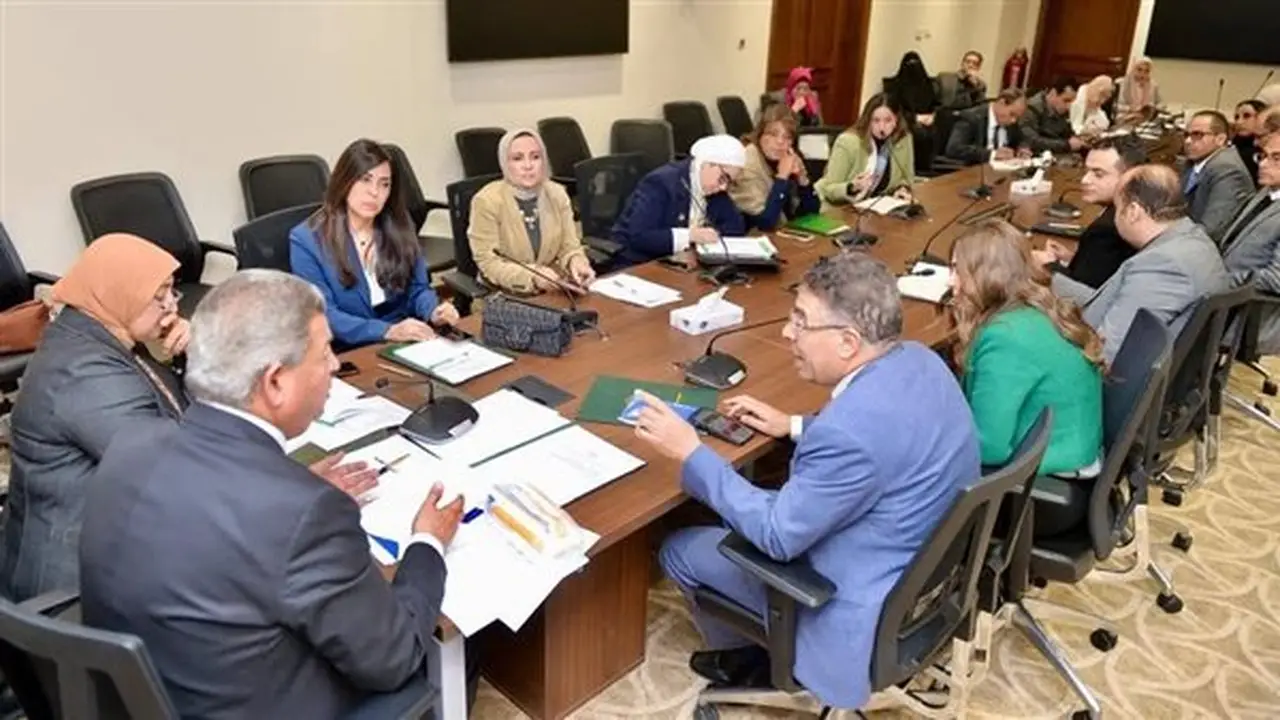 لجنة الثقافة والإعلام تعقد جلسة استماع بحضور ضياء رشوان تنفيذًا لتوجيهات الرئيس السيسي