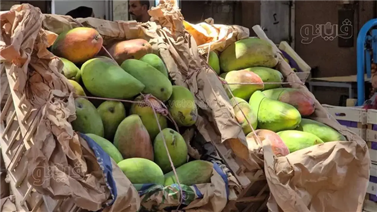 أسعار المانجو اليوم الثلاثاء: انخفاض السكري 10 جنيهات وارتفاع النعومي