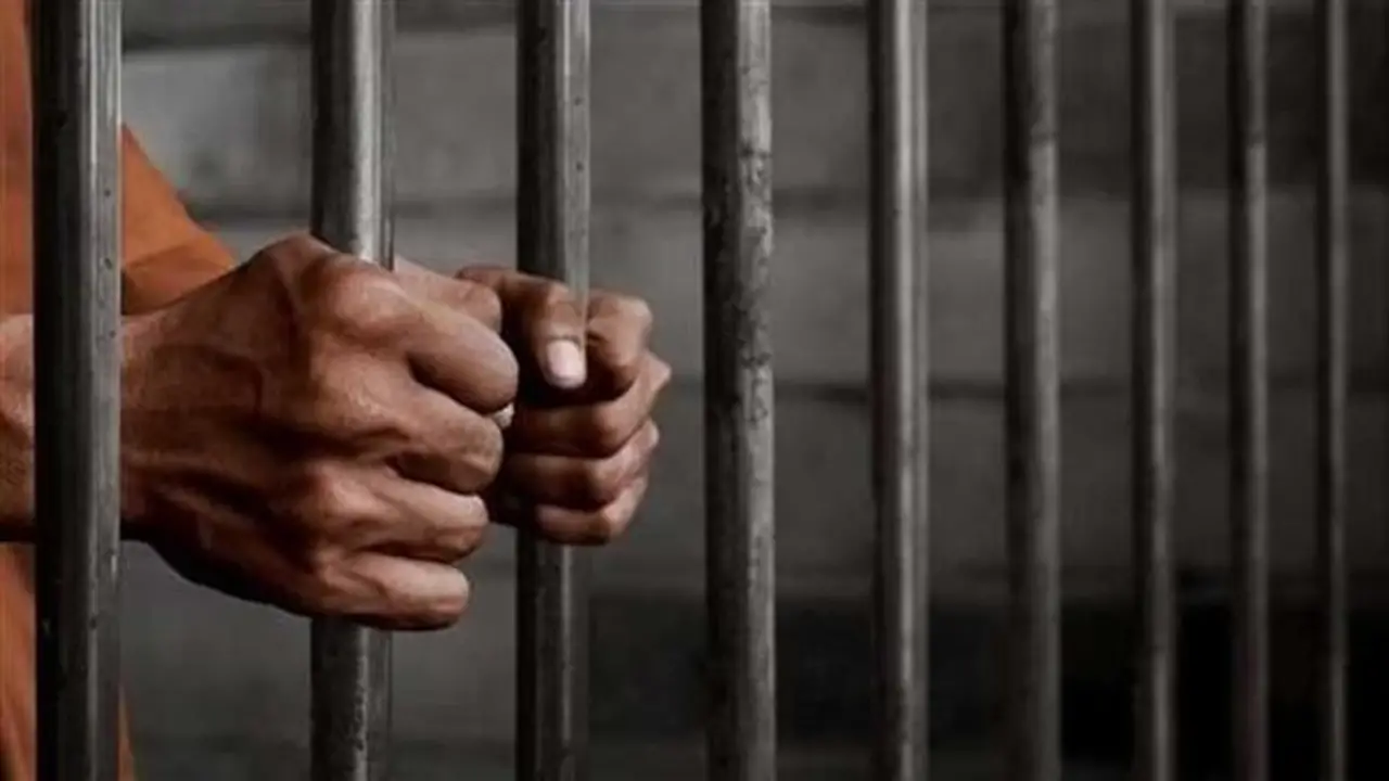 حبس سائق بتهمة دهس فتاة أثناء عبورها الطريق في مدينة الشروق