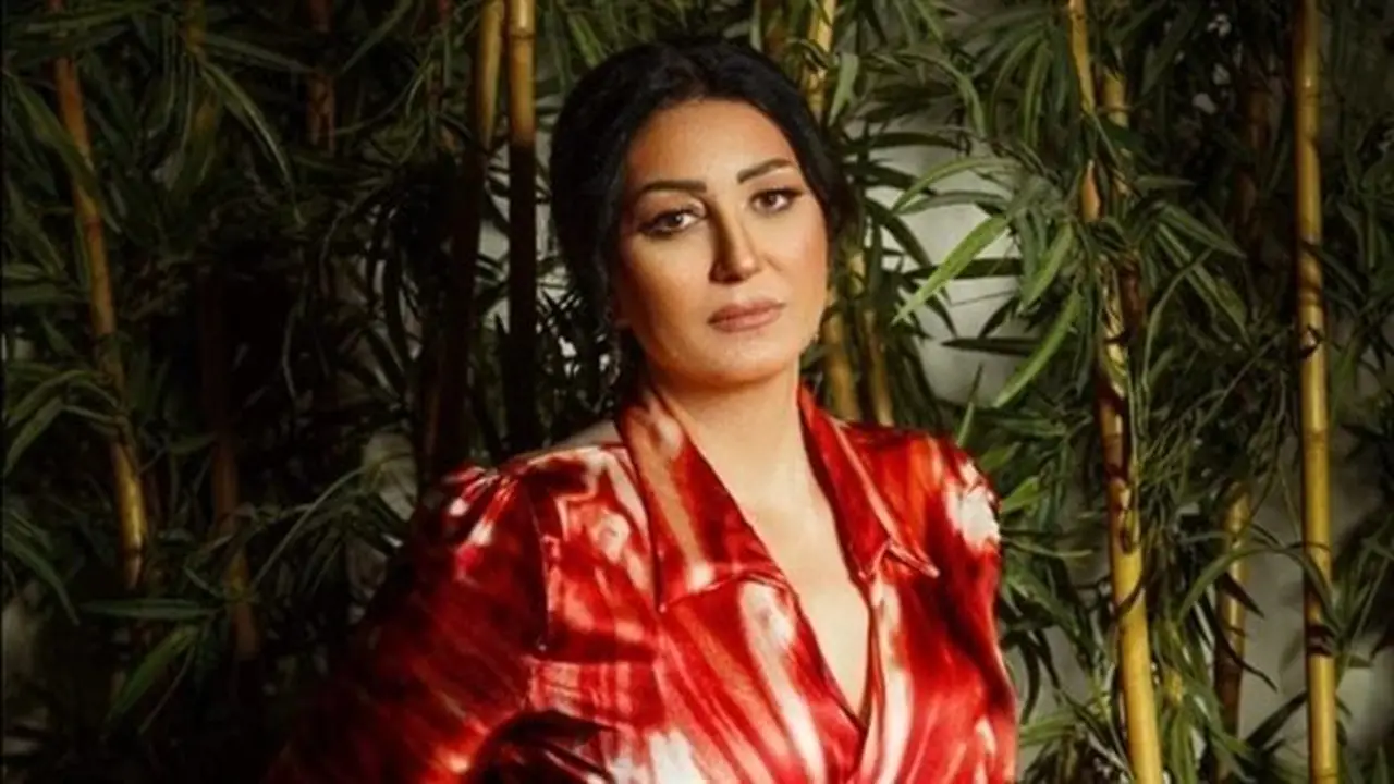 محاكمة 3 متهمين بسب وقذف الفنانة وفاء عامر عبر وسائل التواصل الاجتماعي