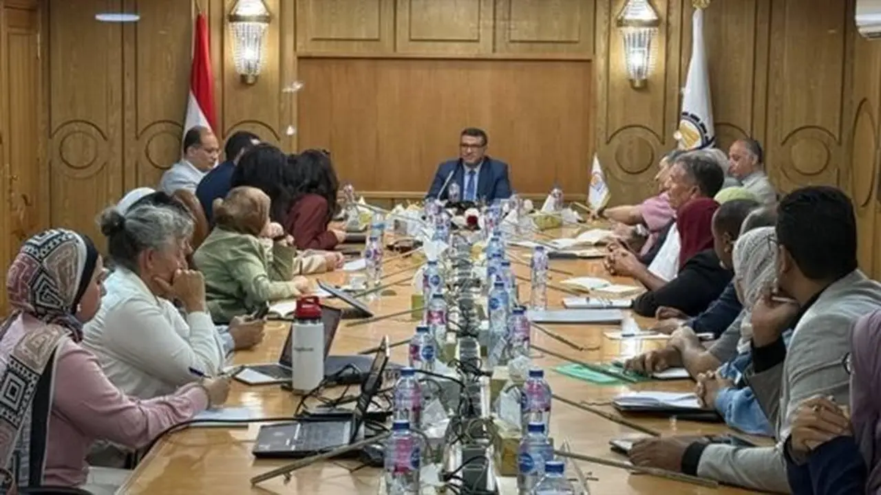 كهرباء قنا توضح إجراءات تحويل العدادات الكودية إلى قانونية