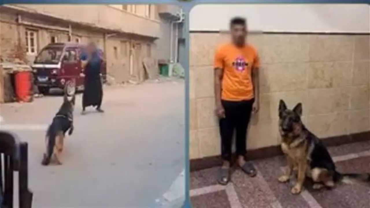 الداخلية توضح ملابسات فيديو دفع كلب لمهاجمة سيدة في البحيرة وتضبط المتهم