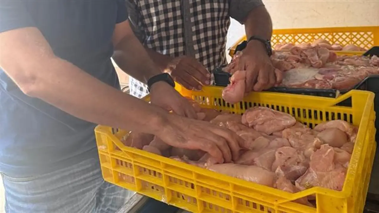ضبط أكثر من طن من اللحوم والدواجن الفاسدة في طنطا خلال حملة رقابية